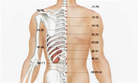 右背上有痣